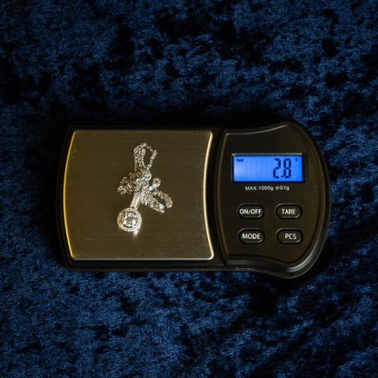 S925 "Beso de Luz" VVS Moissanite Necklace